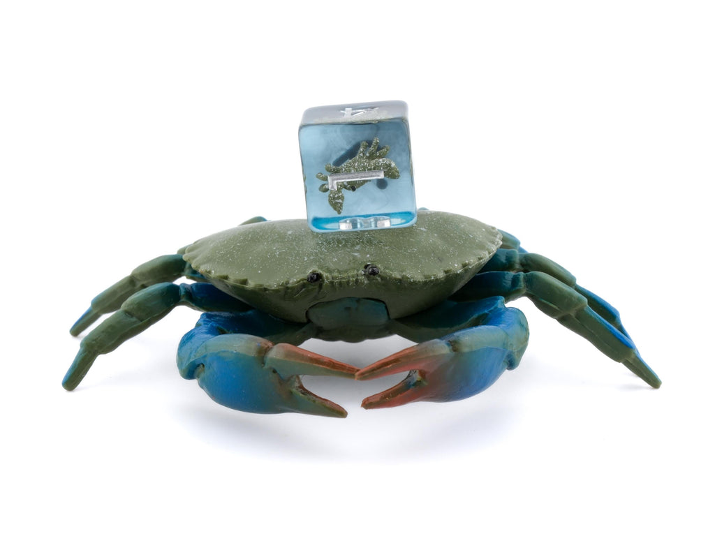 Crab Resin DnD Dice Set: 7 Piece Clawed Crustacean RPG Dice